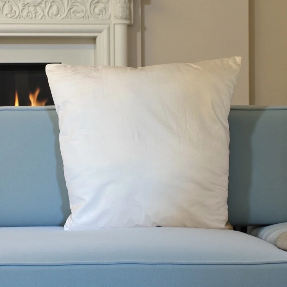 Pottery Barn 2 Pillow Inserts Size 20x20